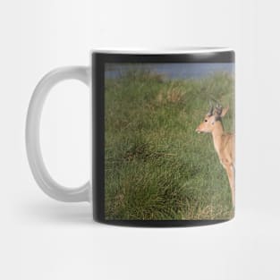 Reed Buck Mug